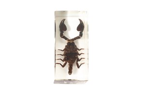 Image description is not available for 2012.5.3